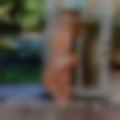 Housewives Greenville