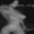 Silver swingers Bradenton
